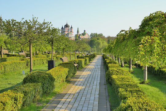 Красивая аллея в парке