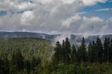 Thueringer Wald in Morgenstimmung