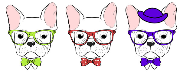 set of cute bulldog muzzles in glasses with bow tie and hat
