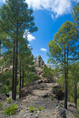 Gran Canaria, Caldera de Tejeda