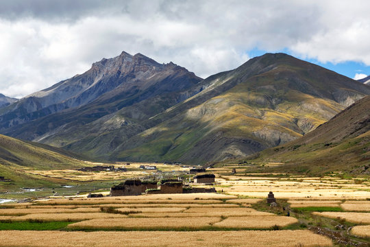 Dho Tarap village, Dolpo, Nepa
