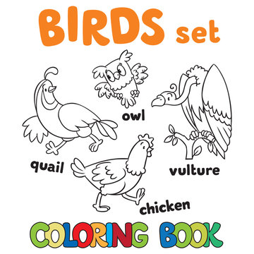 Coloring book with birds