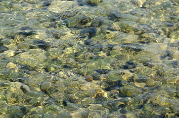 clear see through sea water photo texture