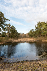 dramatic clouds over the river