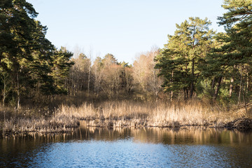 dramatic clouds over the river
