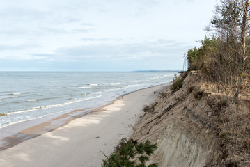 wild beach with old tree trunks and clouds