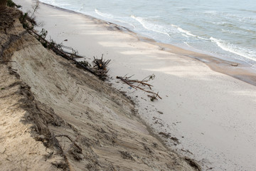 wild beach with old tree trunks and clouds
