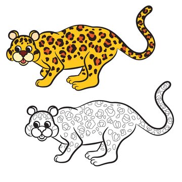 Outlined leopard vector illustration. Isolated on white.
