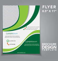 Flyer Brochure Vector Design