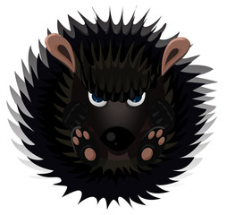 hedgehog
