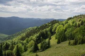 Naklejka na ściany i meble path in green summer mountains with white cloudy blue sky