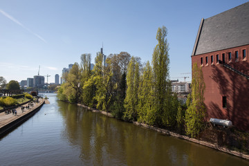 Fototapeta premium frankfurt and the main river in spring