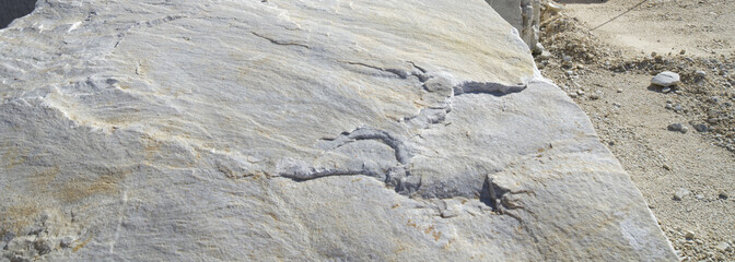 Marble quarry