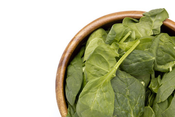 Green spinach leave