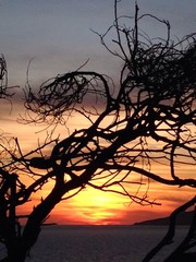 controluce al crepuscolo