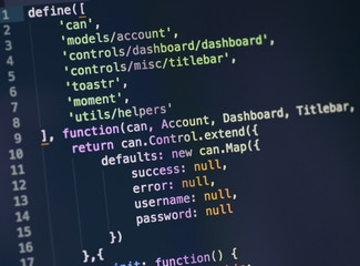 Javascript code on computer screen