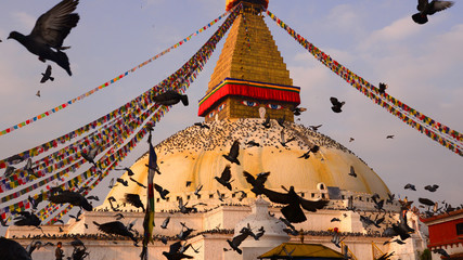 Boudhanath stupa,kathmandu nepal - obrazy, fototapety, plakaty