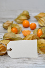Physalis