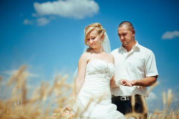 Fototapeta na wymiar young beautiful wedding couple hugging in a field with grass