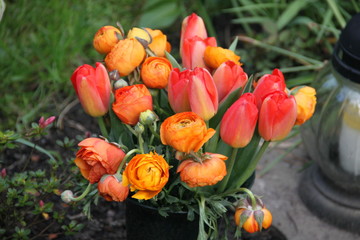 Blumenstrauss mit Ranunkel und Tulpen auf dem Friedhof