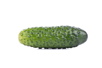 Cucumber