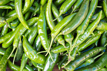 Green hot and spicy chilli