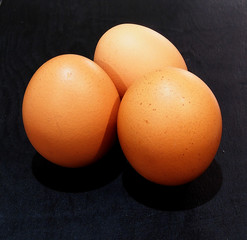 Eggs on Wooden Background