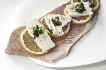 Raw salmon fillet