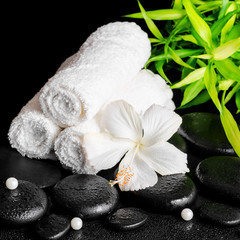 spa still life of white hibiscus flower, bamboo, towels and bead