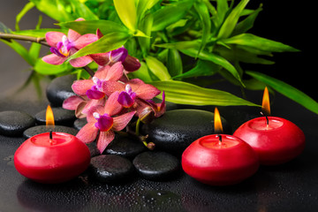 beautiful spa composition of twig red orchid flower, phalaenopsi