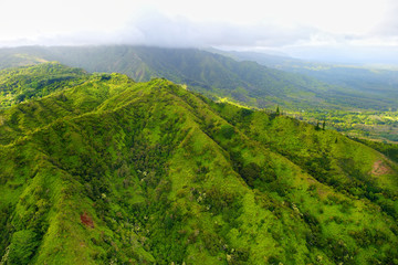 Obraz premium Stunning aerial view of spectacular jungles, Kauai