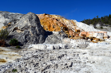 Fototapeta na wymiar Lava with gradual colors, Yellowstone National Park
