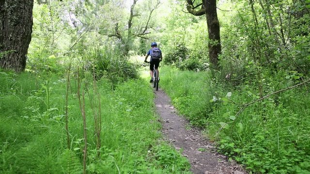 mountain bicycle riding in the woods