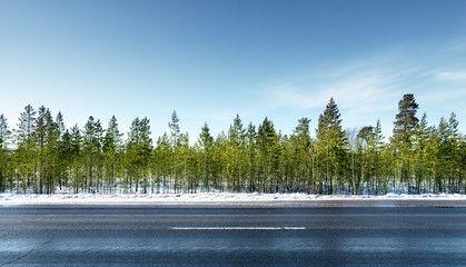 Naklejka premium road in winter forest