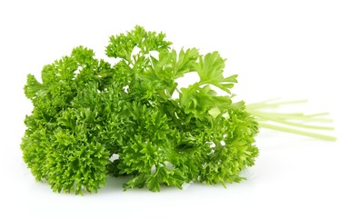 Parsley leaves isolated on white background