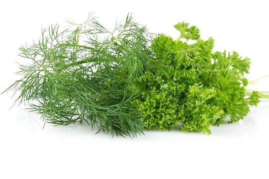 Parsley leaves and dill isolated on white background