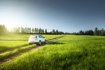 spring field and blurred car on ground road