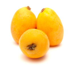 nispero, Japanese medlar fruit