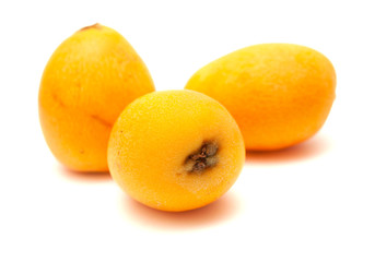 nispero, Japanese medlar fruit