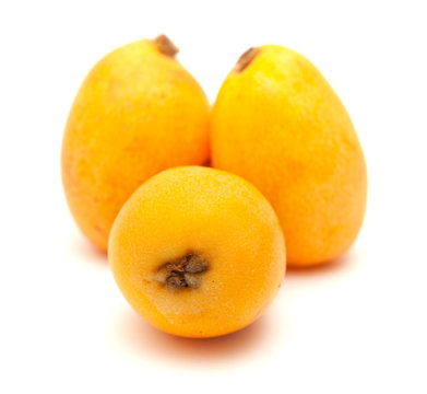 nispero, Japanese medlar fruit