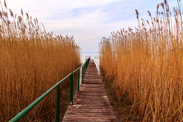 Wooden pier in tranquil lake Balaton
