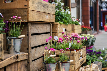Flowers sold on the street shop
