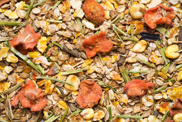  natural  muesli with carrots background. for horse.