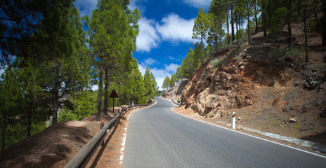 Gran Canaria, road in Las Cumbres, the highest areas of the isla