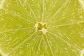 Lime slices - macro