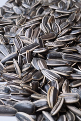 organic sunflower seed for background uses