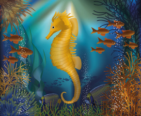Fototapeta na wymiar Underwater wallpaper with seahorse seafish, vector illustration