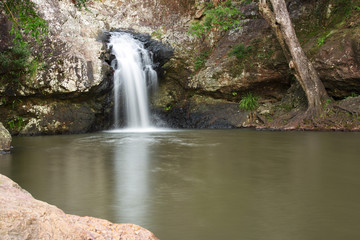 Fototapeta na wymiar Beautiful Kondalilla Waterfall.