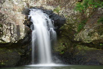 Fototapeta na wymiar Beautiful Kondalilla Waterfall.