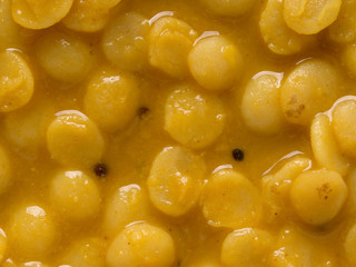 indian vegetarian dahl curry food background